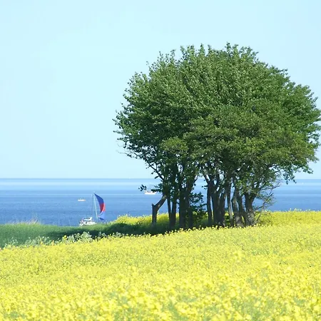 Luna Daire Schönhagen